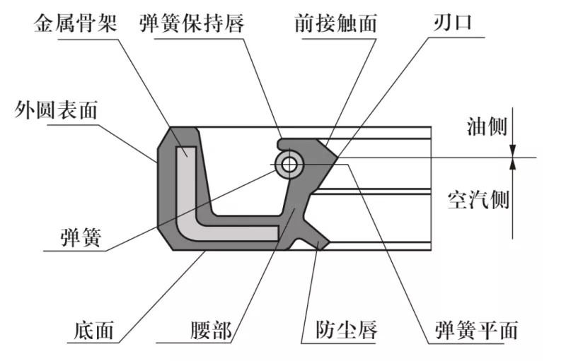 ພື້ນຖານຂອງການຜະນຶກ: Rotary Shaft Lip Seals (Oil Seals)