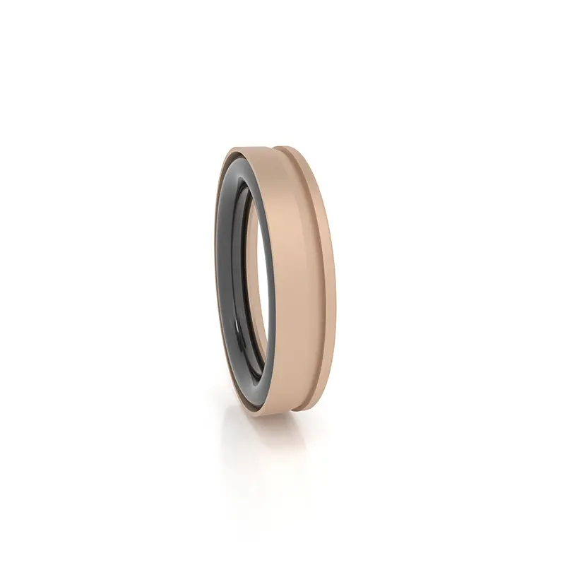 High Pressure Seals For Piston Holes High Pressure Seals For Piston Holes