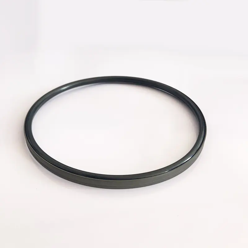 High Pressure Seals For Piston Holes High Pressure Seals For Piston Holes