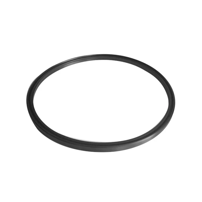 Hydraulic Seals For Pistons And Piston Rods