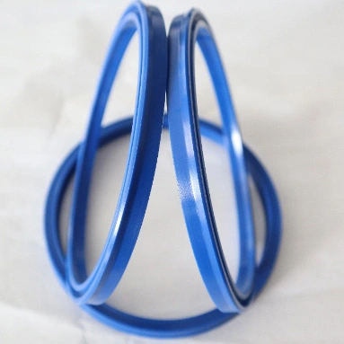 Hydraulic Seals For Pistons And Piston Rods