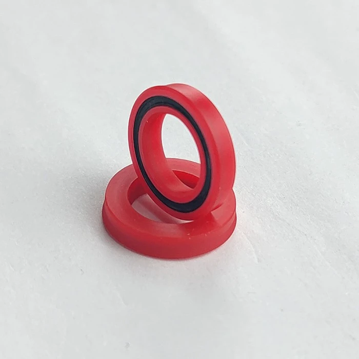 Hydraulic Seals For Pistons And Piston Rods