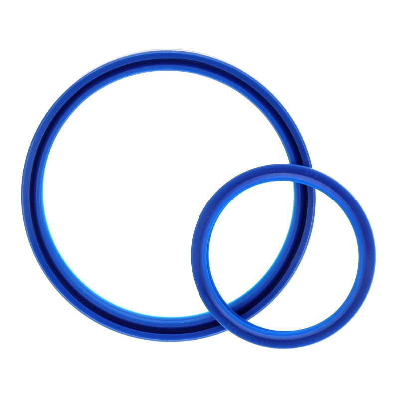 Wiper ປະທັບຕາ DHS